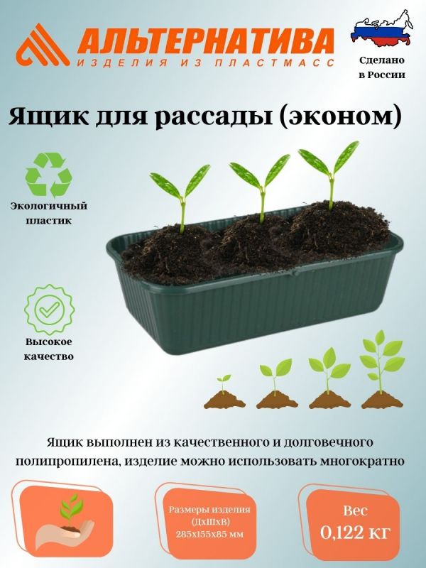 Box for seedlings 285*155*85 (economy) ?6658
